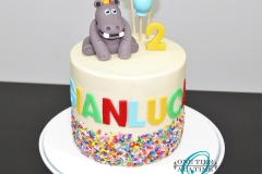 Hippo-Cake-Front-Close-Up